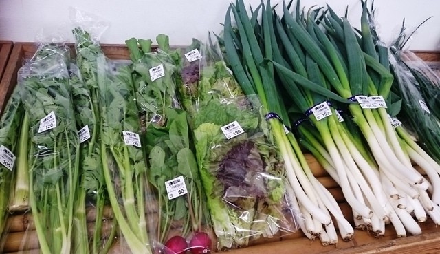 手まめ館 - 磐城塙（レストラン）の写真