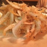 カトリカ - がおー！がおー！がおー！がおー！がおー！がおー！がおー！がおー！がおー！がおー！がおー！がおー！がおー！