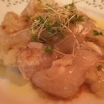 カトリカ - あっぷっぷ