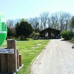 メイミーズ - アプローチ　2016/05