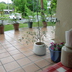 イル レガーロ - 