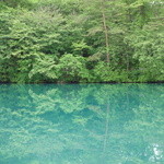 イル レガーロ - 