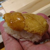 鮨 なかがわ - ウニ