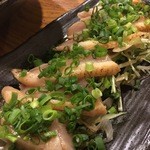 Taishuu Izakaya Toriichizu - 