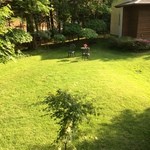 リトルスイス - 中庭２