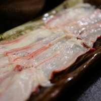 柚木元 - ツキノワグマ