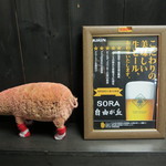SORA - 