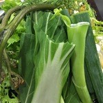 かがやき - 野菜の中にゼンマイがあります