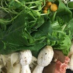 かがやき - 珍しいキノコ