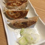 人類みな麺類 - 餃子