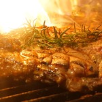 Trattoria Cicci Fantastico - 