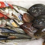 兎屋 - 料理写真:羽田市場の超速鮮魚！