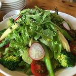 軽井沢ガーデンテラス　旬食厨房 - 高原野菜もりもりサラダ
