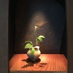 ゼンカフェ - 2016年5月カウンター席の花