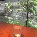 ゼンカフェ - 2016年5月カウンターと坪庭