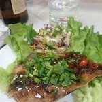 レッド オーキッド - 