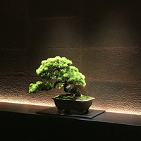 中目黒いぐち 上ル - 