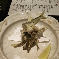 二条有恒 - 