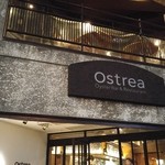 Ostrea - 