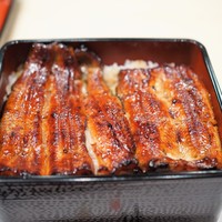 うなぎ藤田 白金台店 - うな重（山）