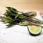 神保町 傳 - 山菜の天ぷら