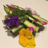 OTTO SETTE - 