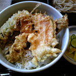 San Haru - 野菜天丼アップ