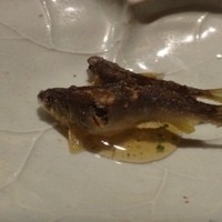 神楽坂 石かわ - ◆稚鮎・・盛り付けも美しい品。
                  蓼が入った少し甘めの餡がかけられています。
