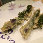 天ぷら てんかつ - たらの芽。おいっしーーー