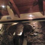 Elephant Bar Restaurant - 