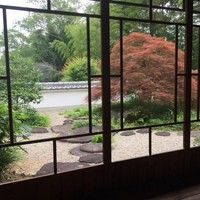 oasi - 