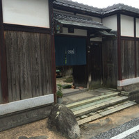 oasi - 