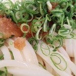 梅田はがくれ - 生じょうゆうどん（大盛）