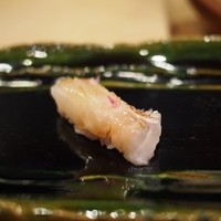 月の木 - 