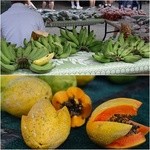 KCC Saturday Farmers' Market - 