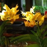 Ad Lib - 翌朝のロビー