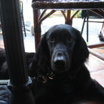 カフェ・ミケランジェロ - 2008/06