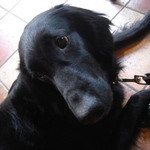 カフェ・ミケランジェロ - 2008/06