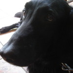 カフェ・ミケランジェロ - 2008/06