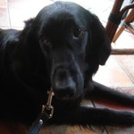 カフェ・ミケランジェロ - 2008/06