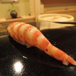 日本橋蛎殻町 すぎた - 車海老2016.5