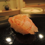 日本橋蛎殻町 すぎた - シマエビ2016.5