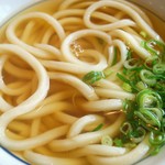 Daisuke Udon - かけうどん300円（これで3玉）＋ネギ10円