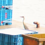 首の長～い鳥さん。