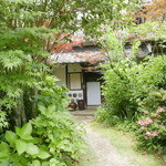 山ごぼう - 新緑が美しいやまごぼう