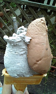 ハーブカントリー - 東大崎（ジェラート・アイスクリーム）の写真