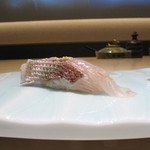 鮨 弁慶 海 - 稚鯛