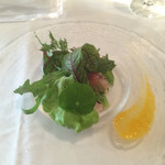リストランテ ベリーニ - カルパッチョ