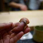 初音鮨 - 鰤の炙り