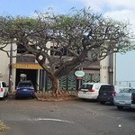 Cinnamon's Restaurant - 